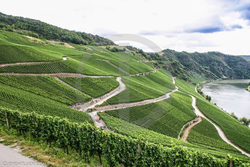 AUTO - RALLYE - WRC DEUTSCHLAND 2005